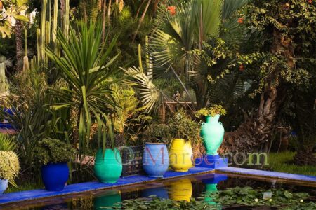 Le bassin de Majorelle