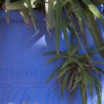 Bleu à Majorelle