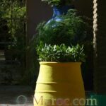 Pots au soleil couchant