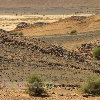 Ergs et dunes, le djebel Zireg, aux limites du Sahara