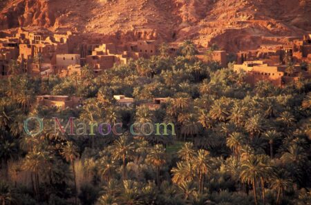 Aït Snane, la palmeraie de Tineghir