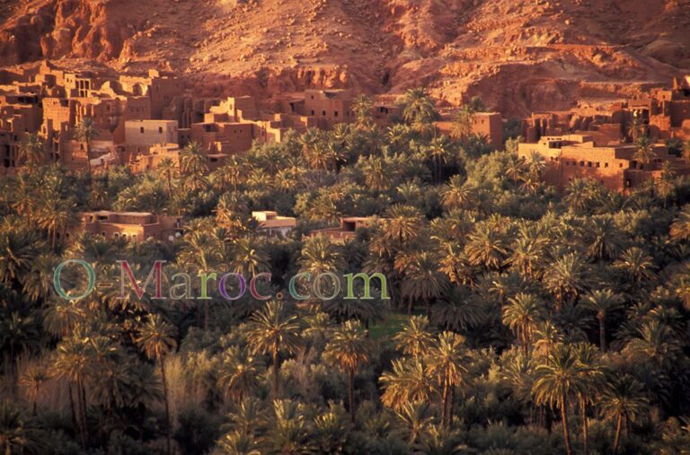 Aït Snane, la palmeraie de Tineghir