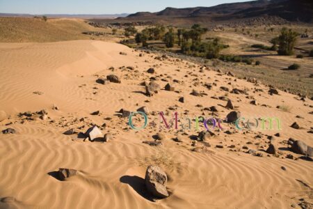 Paysage de l'oasis naturelle de Serdrar