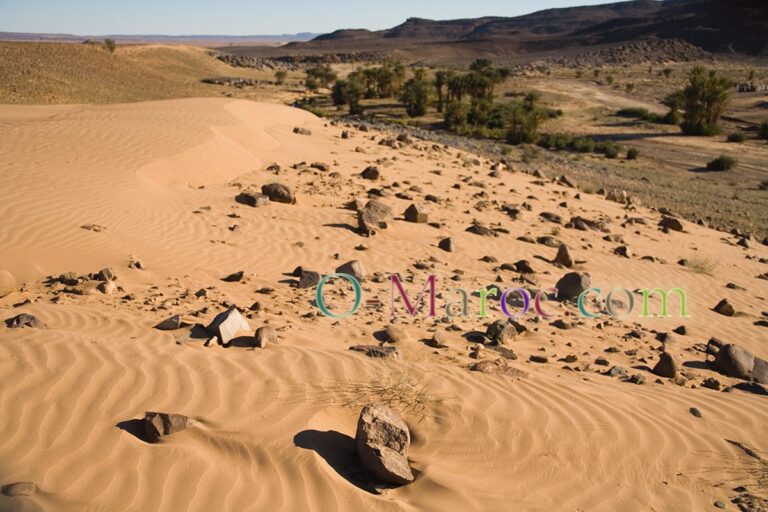 Paysage de l'oasis naturelle de Serdrar