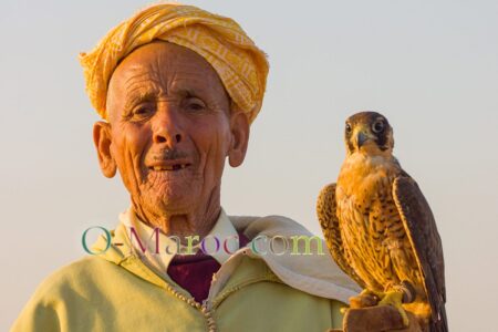 Sidi Saïd et son faucon