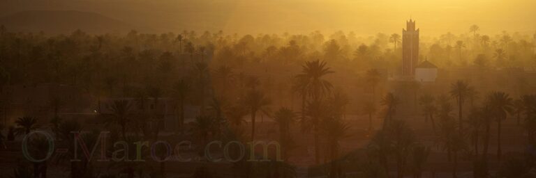 Coucher de soleil sur la palmeraie de Tazzarine