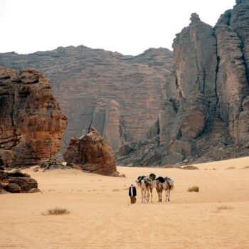 Hoggar (Algérie)