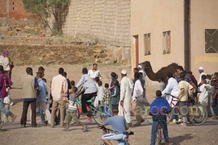 Départ du pèlerinage vers Tinghir avec le dromadaire moussem tazzarine