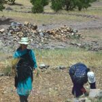 Deux femmes glanent dans les champs