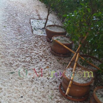 Terrasse et pots de fleurs recouverts de grêlons