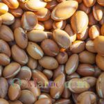 Noix d'argan émondée