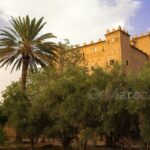 La kasbah, vue de la palmeraie