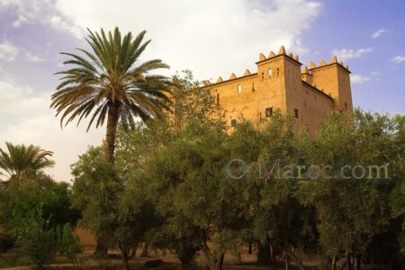 La kasbah, vue de la palmeraie