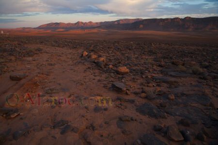 La Hamada du Draa