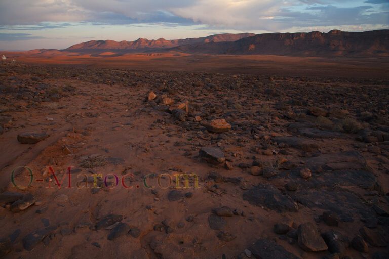 La Hamada du Draa