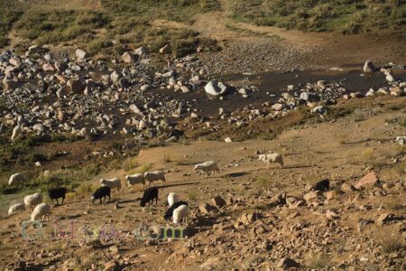 Rivière de montagne dans le Djebel Siroua