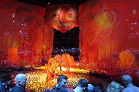 Spectacle du cirque du soleil