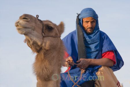 Il n’y a pas d’hommes bleus au Maroc. Figurant de cinema à ouarzazate sur un dromadaire