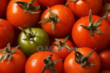 Une tomate verte au milieu de tomates rouges