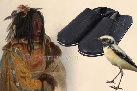 Un indien pied-noir, un traquet du désert et des babouches de Tafraoute