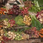 Légumes en Doukkala