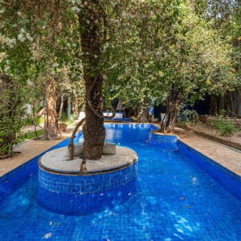 La piscine au milieu des arbres