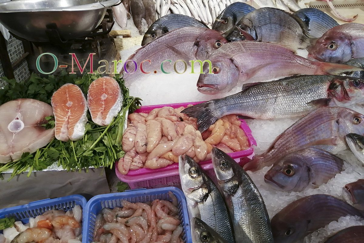 Étal de poissons au marché central de Casablanca