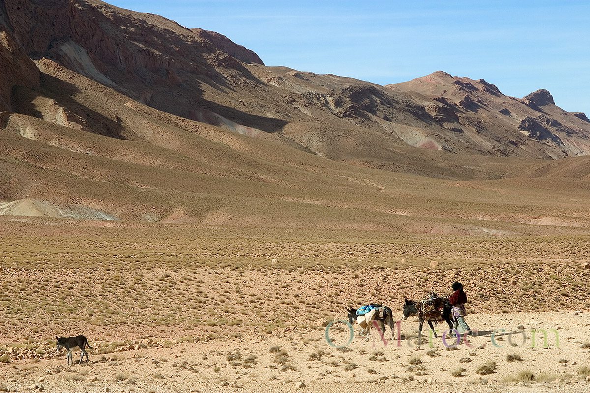 Paysage de montagne avec une femme et son troupeau