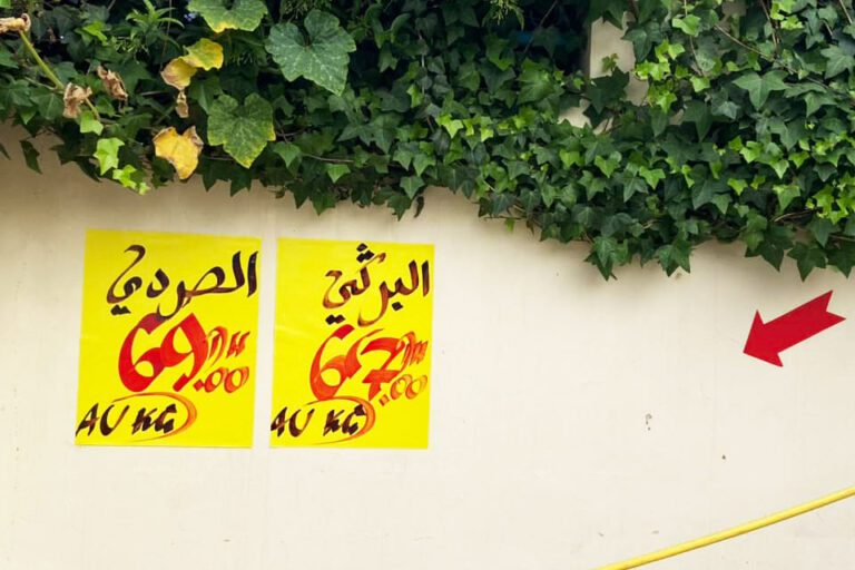 Prix des moutons pour l'Aïd 2023