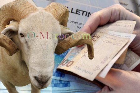 Traitement prime aid mouton