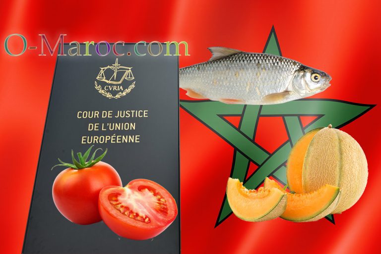 Une tomate, un melon, un poisson et la plaque de la cour de justice européenne devant un drapeau marocain