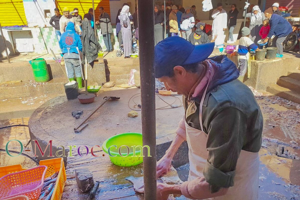 Marché aux poissons de Ouarzazate