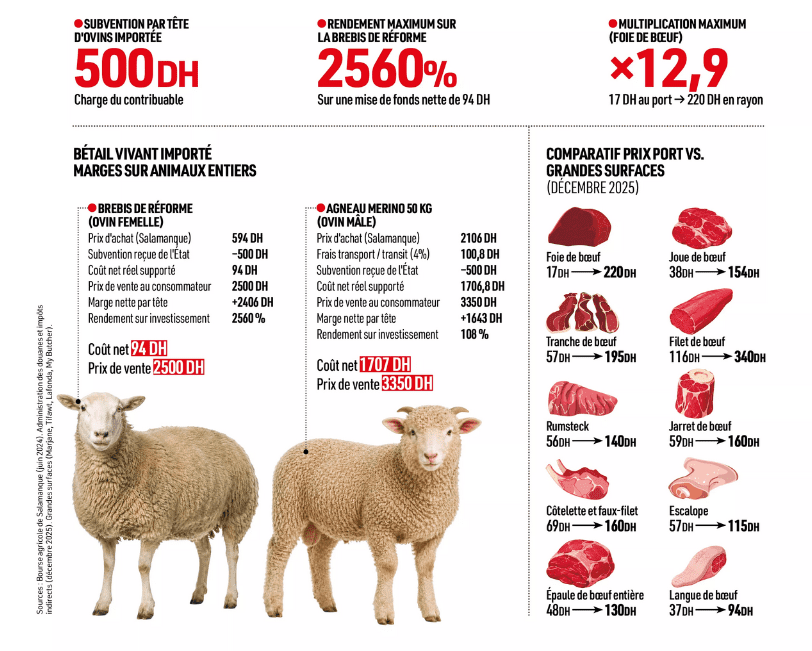 Infographie du journal Tel Quel sur les marges des importateurs