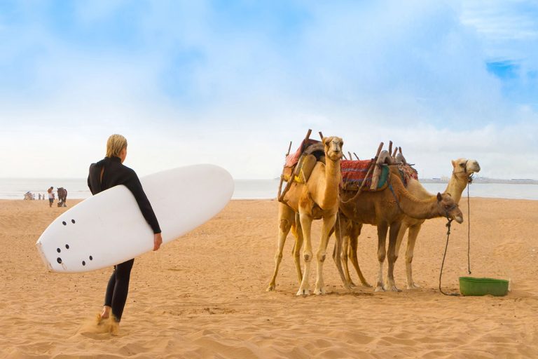 Quelles activités pour vos vacances au Maroc ? Vacances maroc : surf et dromadaire