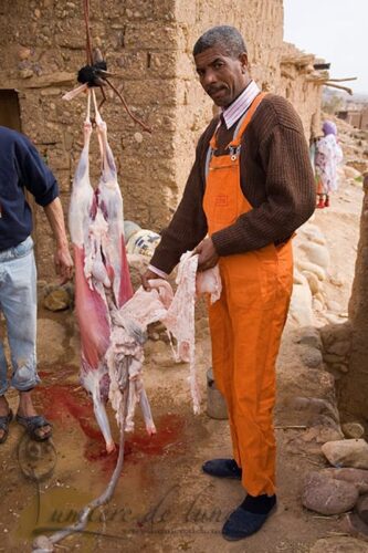 On expose la qualité du mouton de l'Aid El kebir