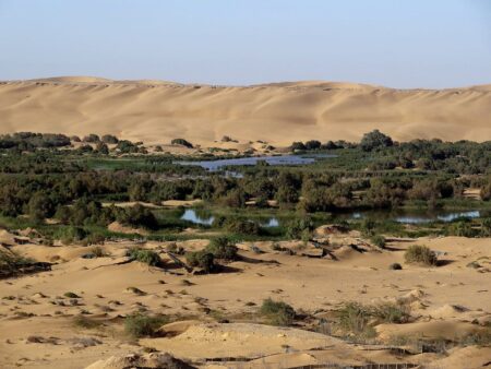 Photo des bords de la Segiua al Hamra dans le désert